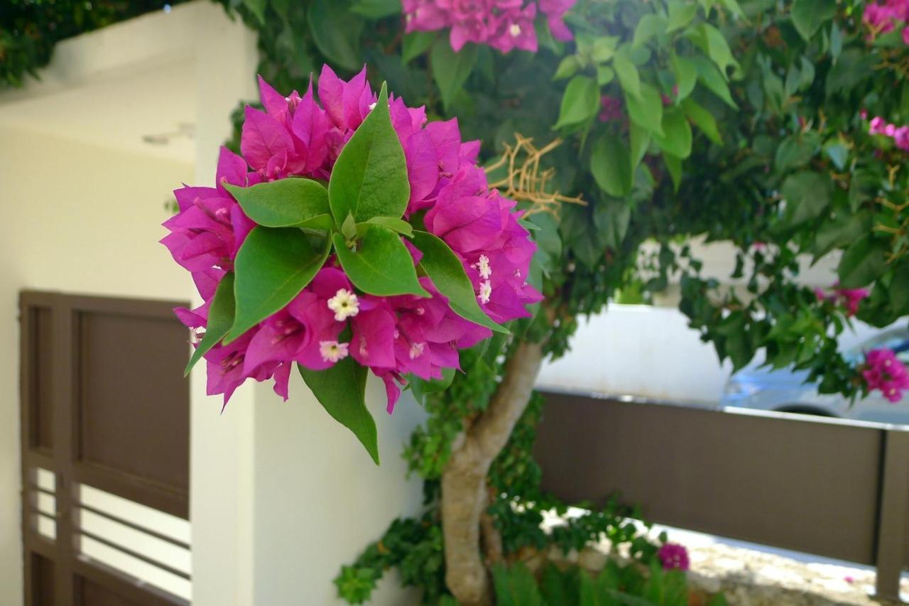 Maria & Manos Guest House, Agios Onoufrios Beach Exterior foto